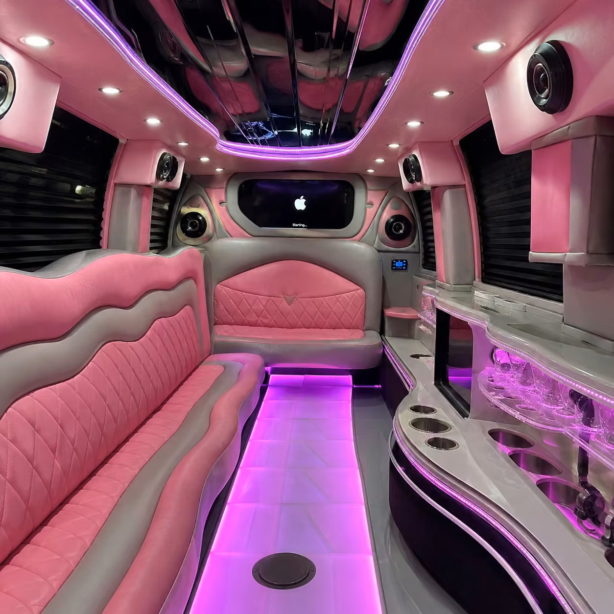 tuscaloosa limo interior