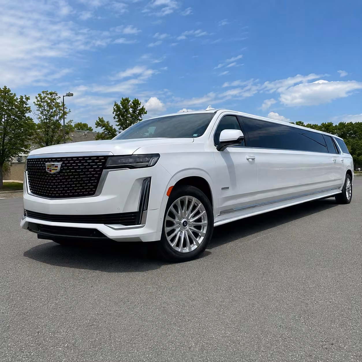 tuscaloosa limousine exterior